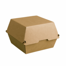 Eco-Friendly Disposable Kraft Cardboard Box